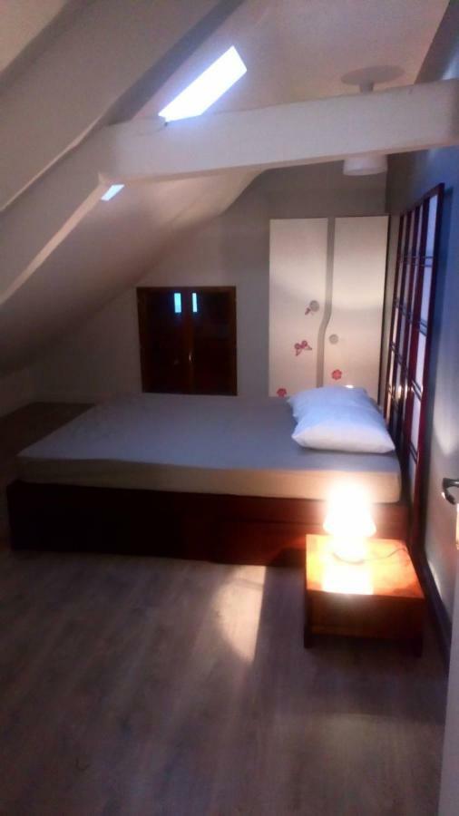 Maison Duplex & Appartement Sur Cour La Ferté-Gaucher Esterno foto